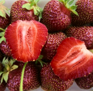 Клубника "РУБИНОВЫЙ КУЛОН" (6шт.)